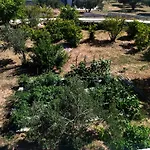 Holiday Home Prvic Sepurine * Prvic Sepurine