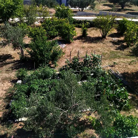 Holiday Home Prvic Sepurine * Prvic Sepurine