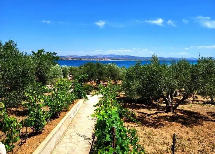 Apartment Holiday Home Prvic Sepurine *