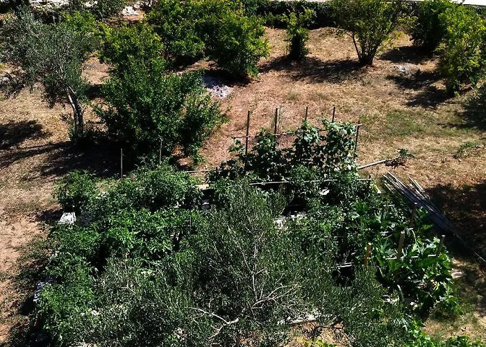 Holiday Home Prvic Sepurine * Prvic Sepurine